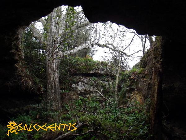 Grotta del Noce, Galatone - ingresso visto dall'interno