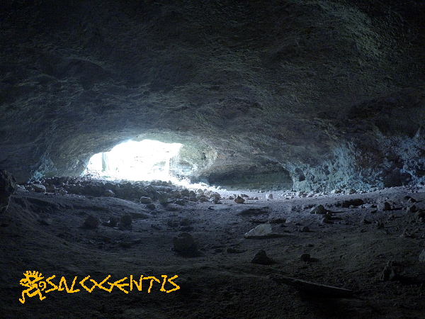Grotta del Noce, interno