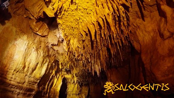 Grotta Antonietta, Acquarica del Capo