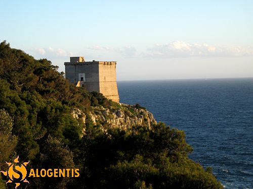 Torre Santa Caterina Foto di Andrea De Pascalis