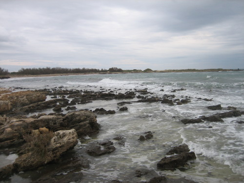 Punta del Macolone vista da Nord.